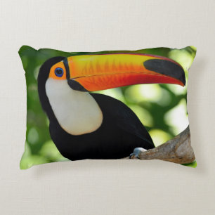 Coussins Décoratifs Toucan