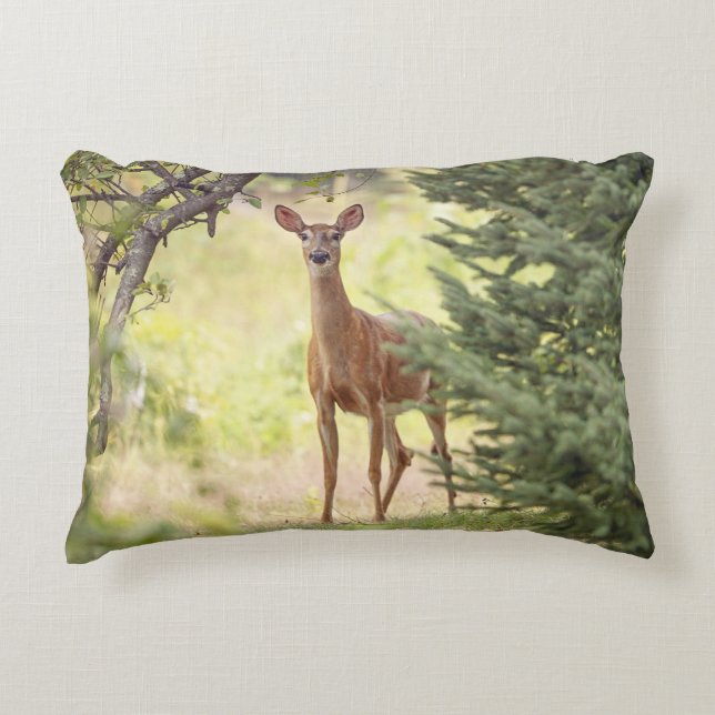 Coussins Décoratifs Un cerf solitaire  (Devant)