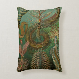 Coussins Décoratifs Vers Annélides Chaetopoda vintage par Ernst Haecke