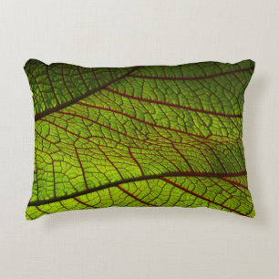 Coussins Décoratifs Vitres feuille de macro veines feuille vert