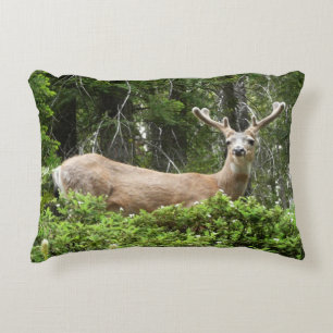 Coussins Décoratifs Yosemite Deer Nature Photographie