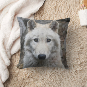 COUSSINS JETÉ BLANC LOUP