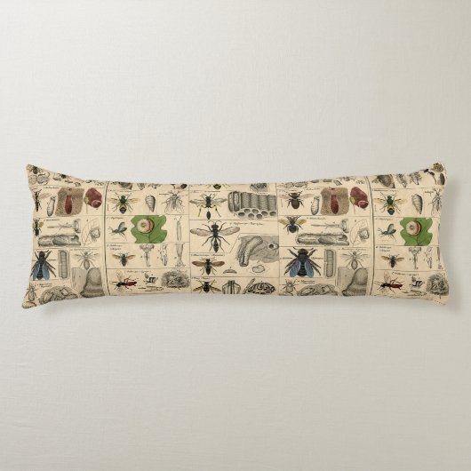 Coussins Longs Abeille Insecte Bug Wasp Nature Peinture des abeil (Devant)