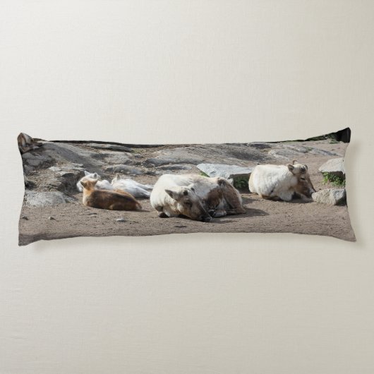 Coussins Longs Animaux (Dos)