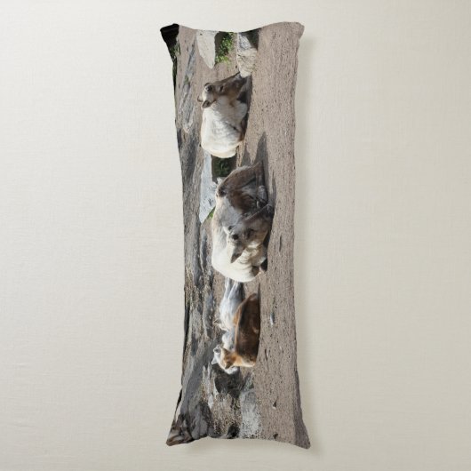 Coussins Longs Animaux (Devant (Vertical))