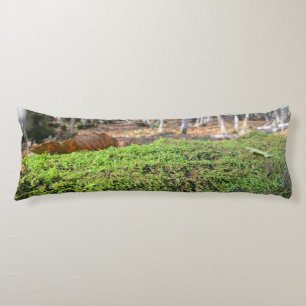 Coussins Longs Arbre en mousse d'automne - Personnalisé
