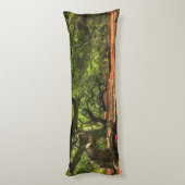 Coussins Longs Arbres tordus de Lavizzara (Dos (Vertical))