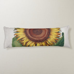 Coussins Longs Art de fleur de damas vintage tournesol