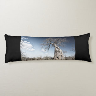 Coussins Longs Baobab Tree in Mana Pools National Park, Zimbabwe