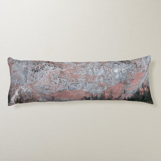 Coussins Longs Blues roses (Dos)