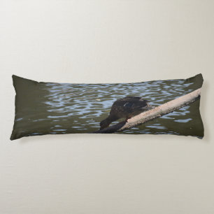 Coussins Longs Canard à soif