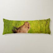 Coussins Longs Capybara (Devant)