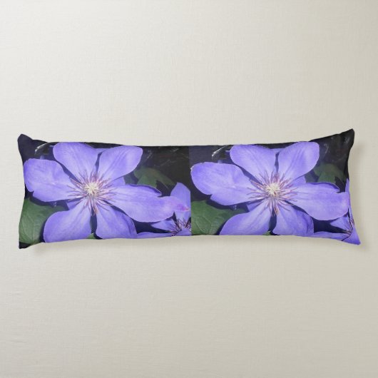 Coussins Longs Césarine (Dos)