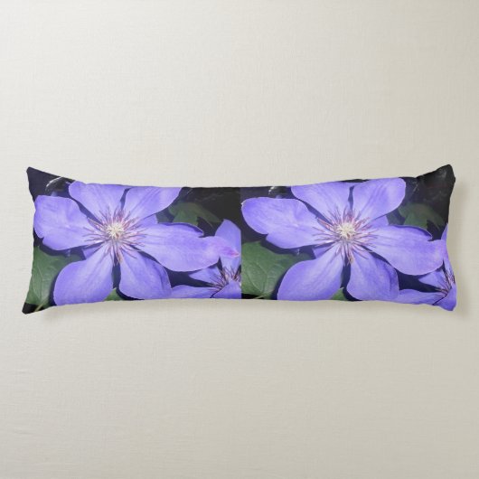 Coussins Longs Césarine (Devant)