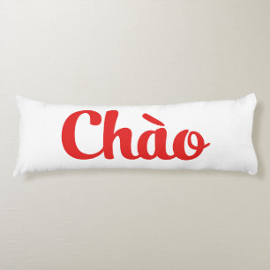 Coussins Longs Chào / Hello ~ Vietnam / Vietnamien / Tiêt Viêt