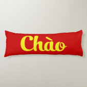 Coussins Longs Chào / Hello ~ Vietnam / Vietnamien / Tiêt Viêt (Devant)