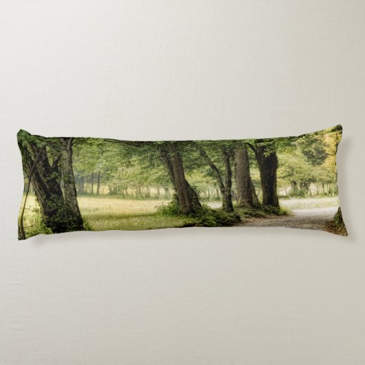 Coussins Longs Chemin dans le pays (Dos)