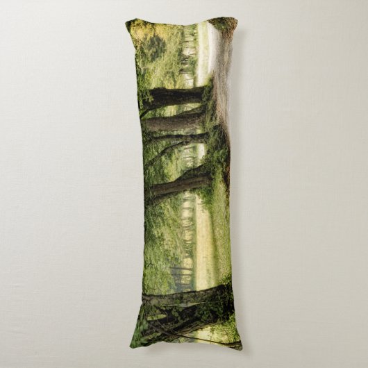 Coussins Longs Chemin dans le pays (Devant (Vertical))