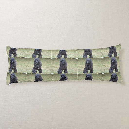 Coussins Longs Chien d'eau portugais noir (Dos)