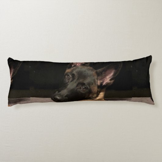 Coussins Longs Chien malinois (Dos)