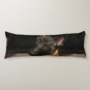 Coussins Longs Chien malinois