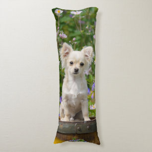 Coussins Longs Chiot crème aux cheveux longs mignon de chien de