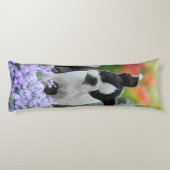 Coussins Longs Chiot mignon de chien de Boston Terrier, câlin (Dos)