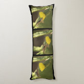 Coussins Longs Colibri Sur Le Triptyque Fleur De Cactus Jaune (Dos (Vertical))