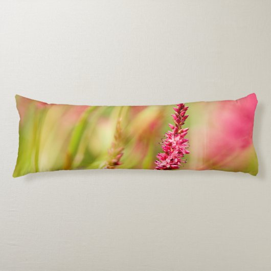 Coussins Longs coloris (Devant)