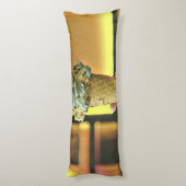 Coussins Longs cône vintage de crème glacée (Dos (Vertical))