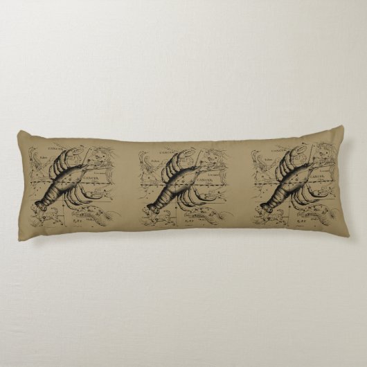 Coussins Longs Constellation du cancer par Hevelius vers 1690 (Dos)