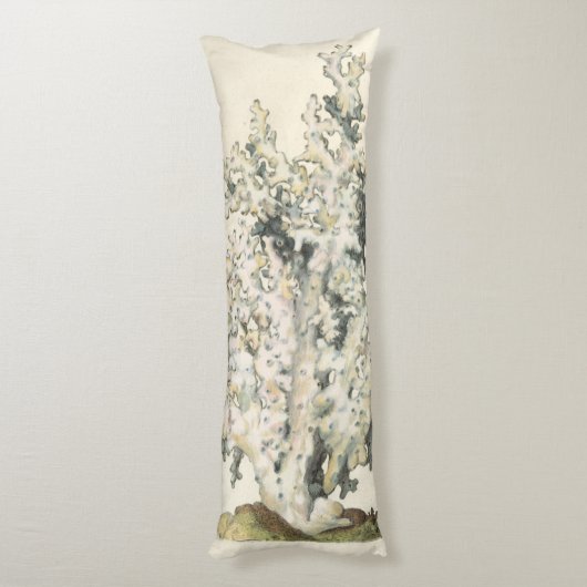 Coussins Longs Corail d'aquarelle antique (Dos (Vertical))