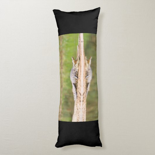 Coussins Longs Crocodile (Dos (Vertical))