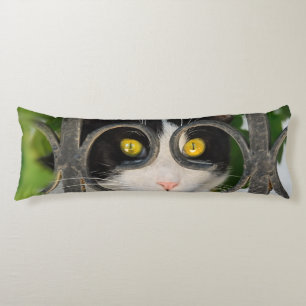 Coussins Longs Curieux Chat avec Spectacles Cadre Amusant Animaux