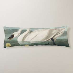Coussins Longs cygne audubon cygnes d'eau blanche