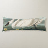Coussins Longs cygne audubon cygnes d'eau blanche (Devant)