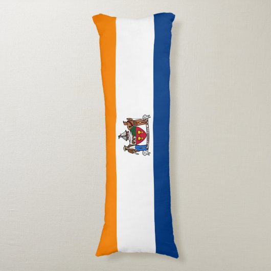 Coussins Longs Drapeau d'Albany, New York (Devant (Vertical))