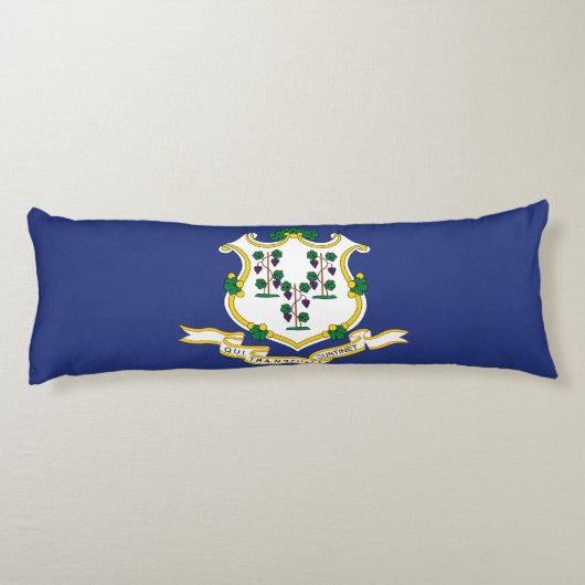 Coussins Longs Drapeau de l'État du Connecticut (Dos)
