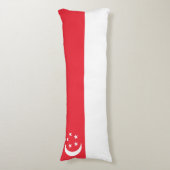 Coussins Longs Drapeau de Singapour (Devant (Vertical))