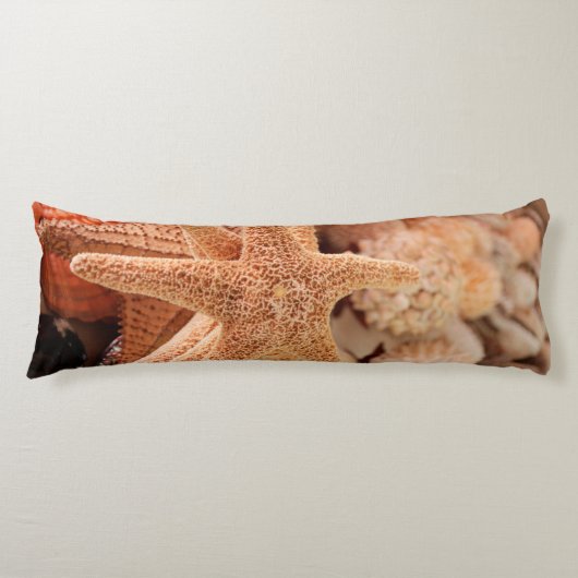Coussins Longs Étoiles de mer séchées vendues comme souvenirs (Devant)