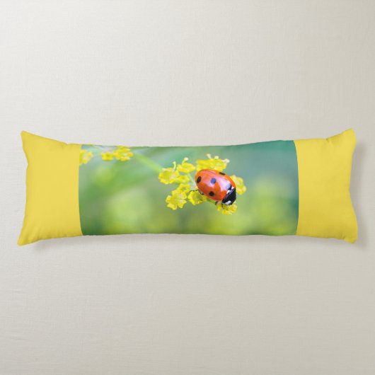 Coussins Longs femme au sommet (Devant)