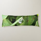 Coussins Longs Feuilles Vertes Roumanie - Art mural de feuillage (Dos)