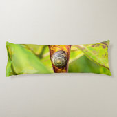 Coussins Longs fixation calme (Dos)