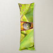 Coussins Longs fixation calme (Dos (Vertical))