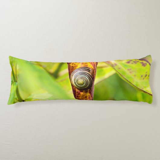 Coussins Longs fixation calme (Devant)