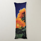 Coussins Longs Fleurs de soleil (Dos (Vertical))