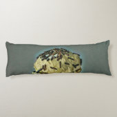 Coussins Longs glaces vintages (Dos)