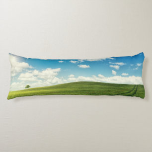 Coussins Longs Herbe de champ Nature