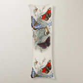 Coussins Longs Illustration Scientifique Botanique de Papillon de (Devant (Vertical))