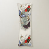 Coussins Longs Illustration Scientifique Botanique de Papillon de (Dos (Vertical))